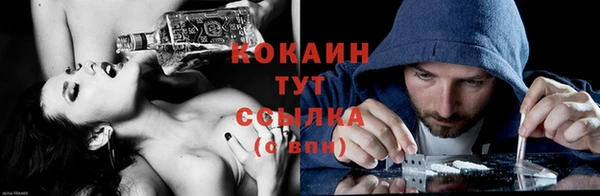 гашик Аркадак