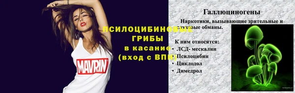 spice Балахна