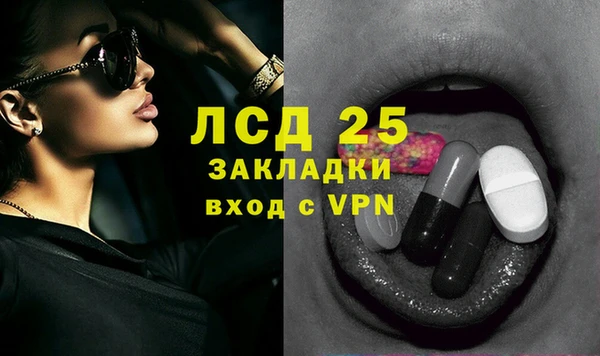 гашик Аркадак