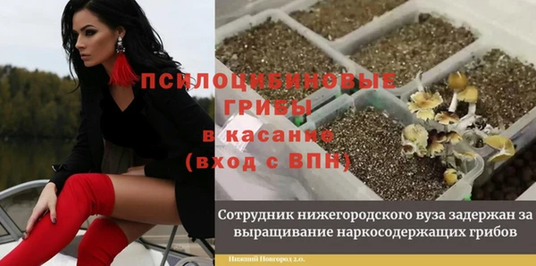 spice Балахна