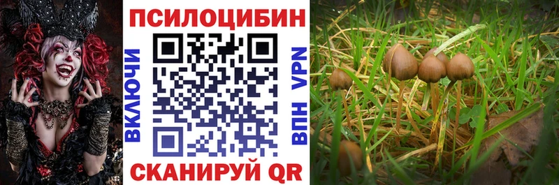 гидра зеркало  Жуков  Галлюциногенные грибы мухоморы 